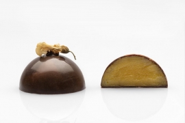 Il cioccolato dell&#039;Elba è “Mondiale”: 2 ori e un argento per Paola Francesca Bertani agli International Chocolate Awards