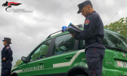 Carabinieri: concorso pubblico per 12 ufficiali da impiegare nel ruolo forestale