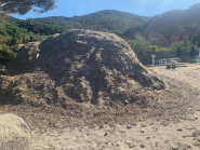 Fotonotizia: accumuli di Posidonia sulla parte libera della spiaggia di Spartaia