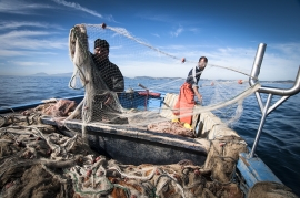 Al via un pacchetto-pesca: contributi e interventi per compensare perdite e ripartire 