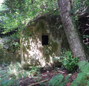 Il Mulino della Grotta e la Spolia Antica: un luogo intriso di mistero e fascino