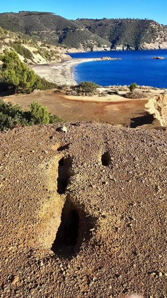 FB IMG 1633080155507