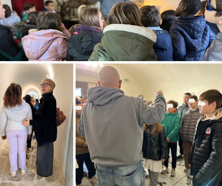 Ecosistema Curioso (1)