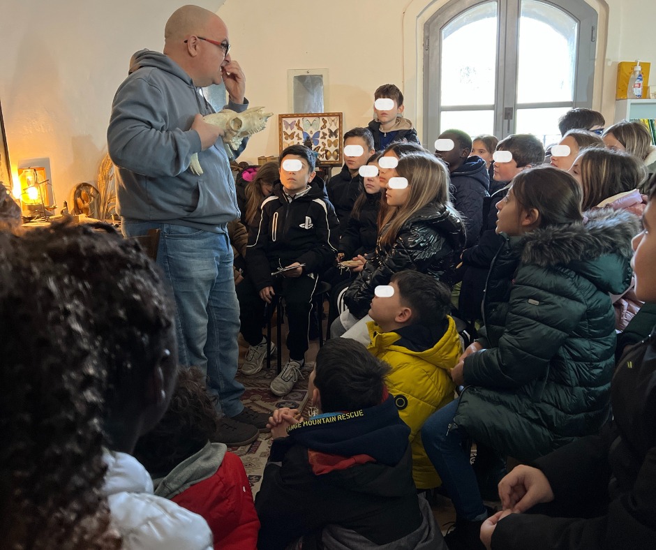 Ecosistema Curioso (3)