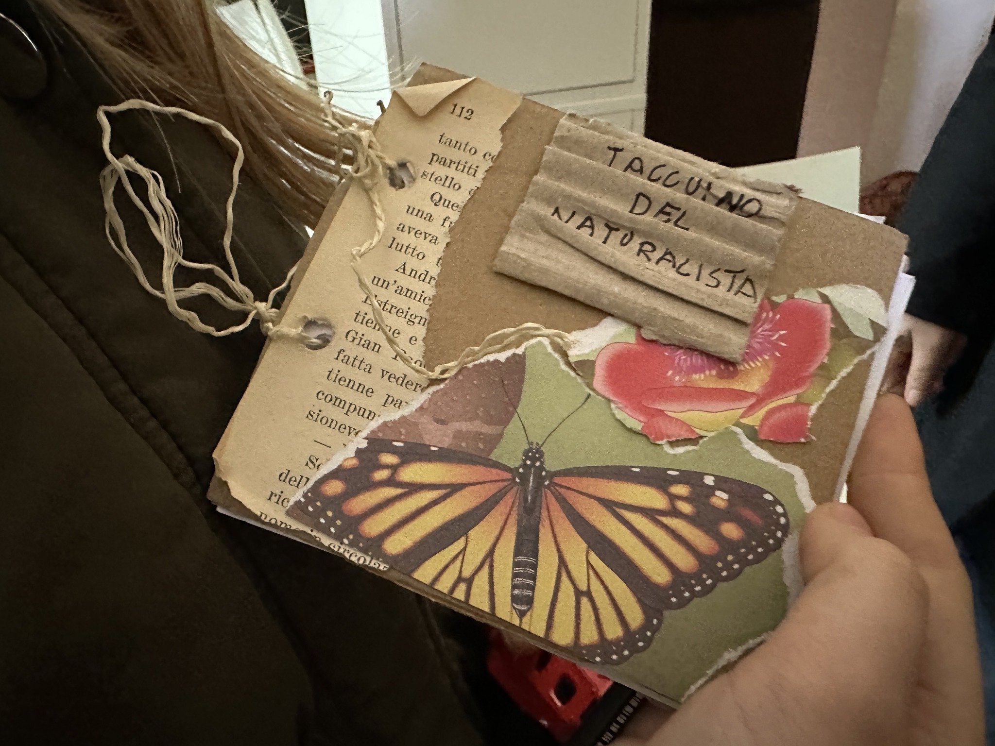 Ecosistema Curioso (6)