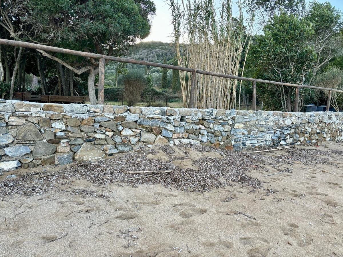 tamerici Galenzana 1