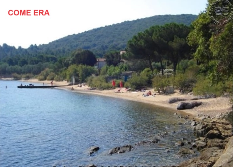 tamerici Galenzana 3