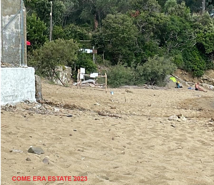 tamerici Galenzana 4