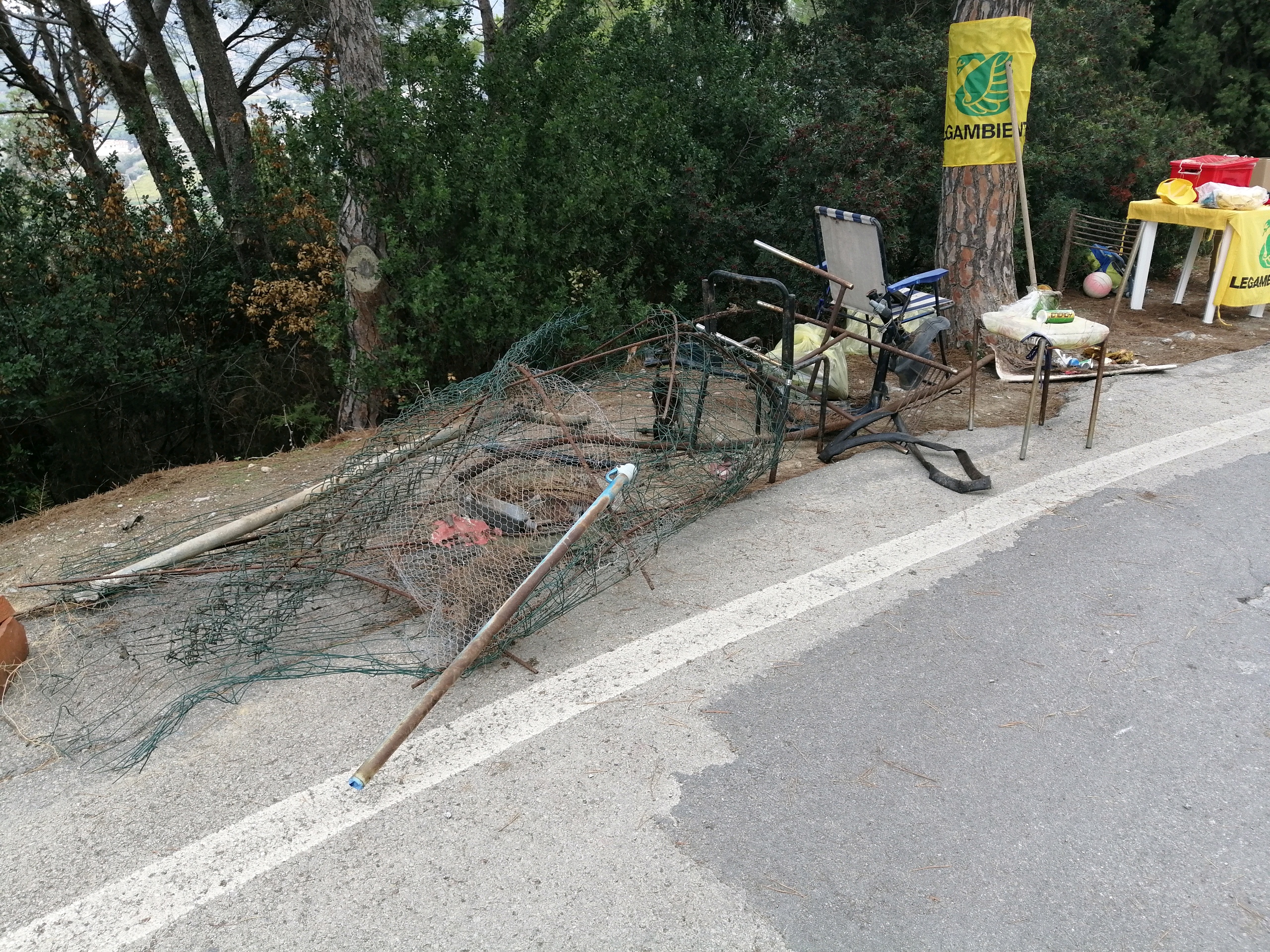 IMG 20221021 104541 resized 20221025 043605735