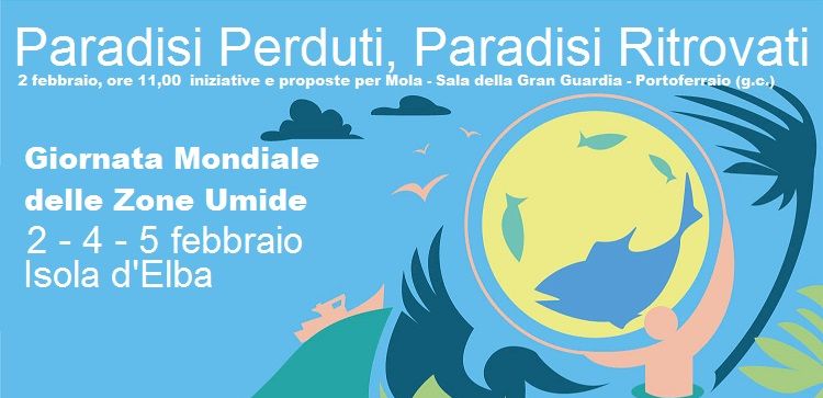 Manifesto Wetlands 1