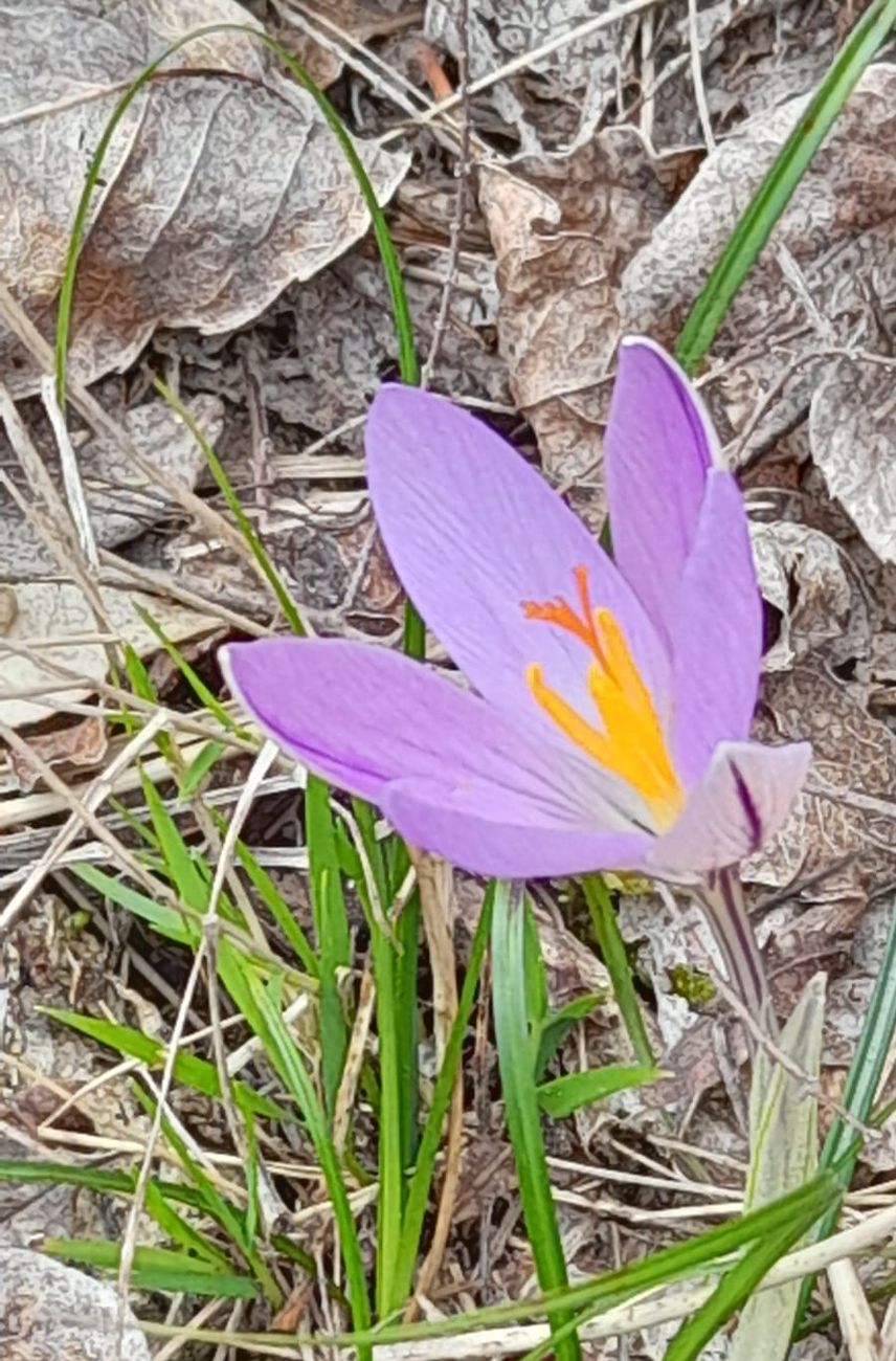 Masso alla Quata passeggiata 8.1