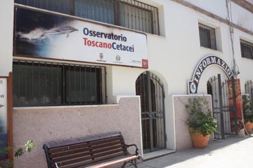Osservatorio Cetacei