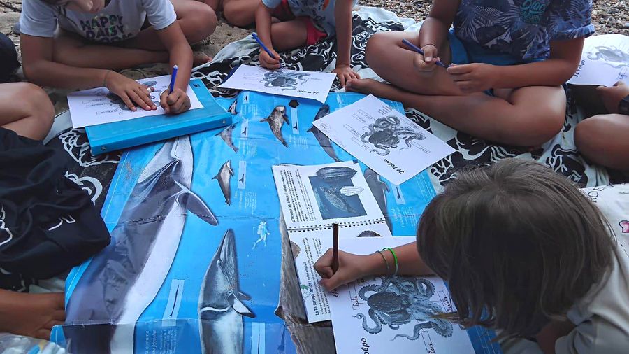 PNAT foto2 laboratori estivi