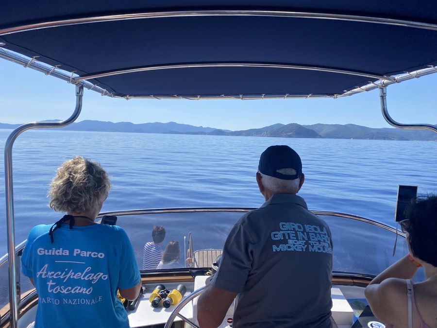 Whale Watching con il PNAT