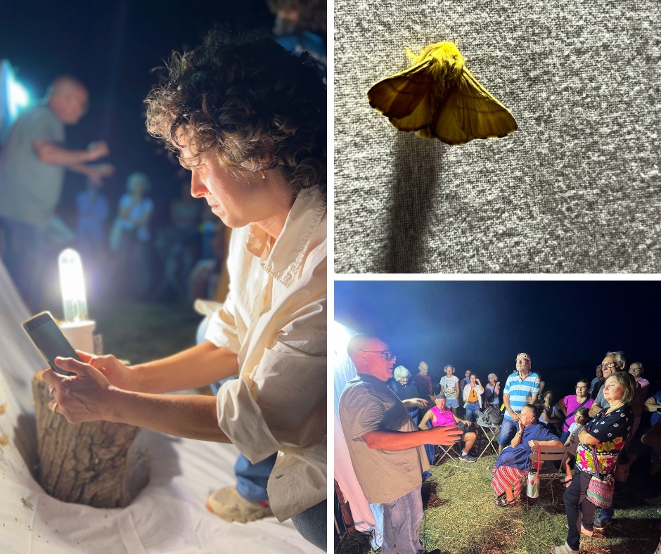 Notte di farfalle e di stelle al Forte Inglese (5)