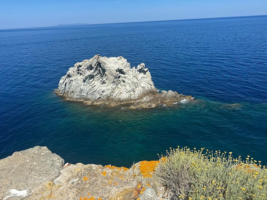 CAI enfola (3)