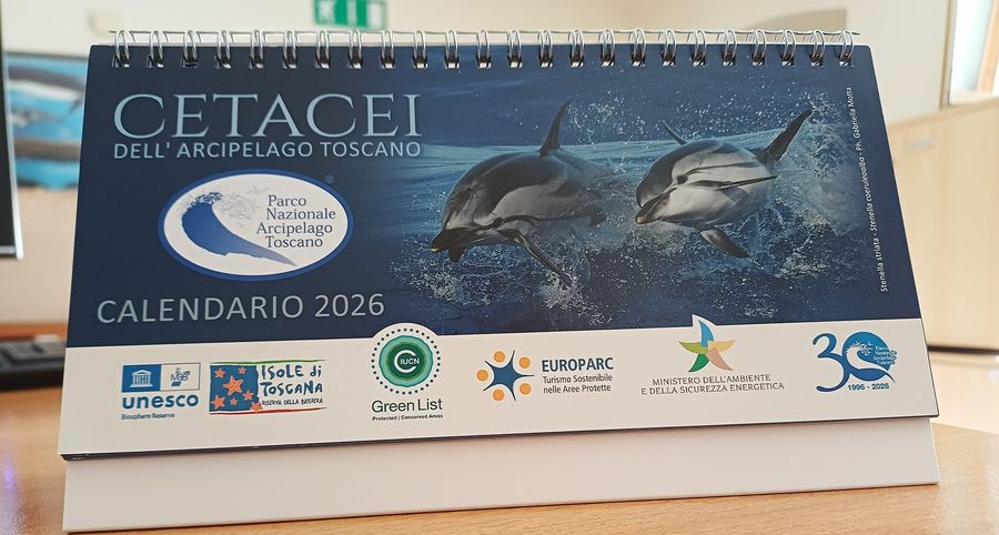 calendario26 da tavolo