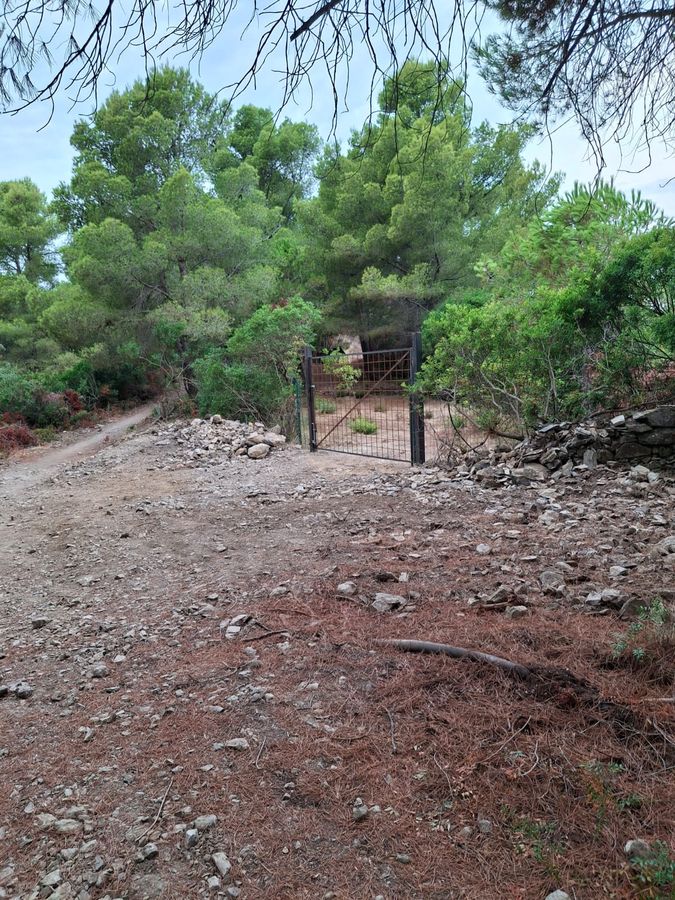 Strada Oleandri   Capo Poro 10