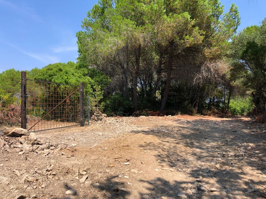 Strada Oleandri   Capo Poro 2