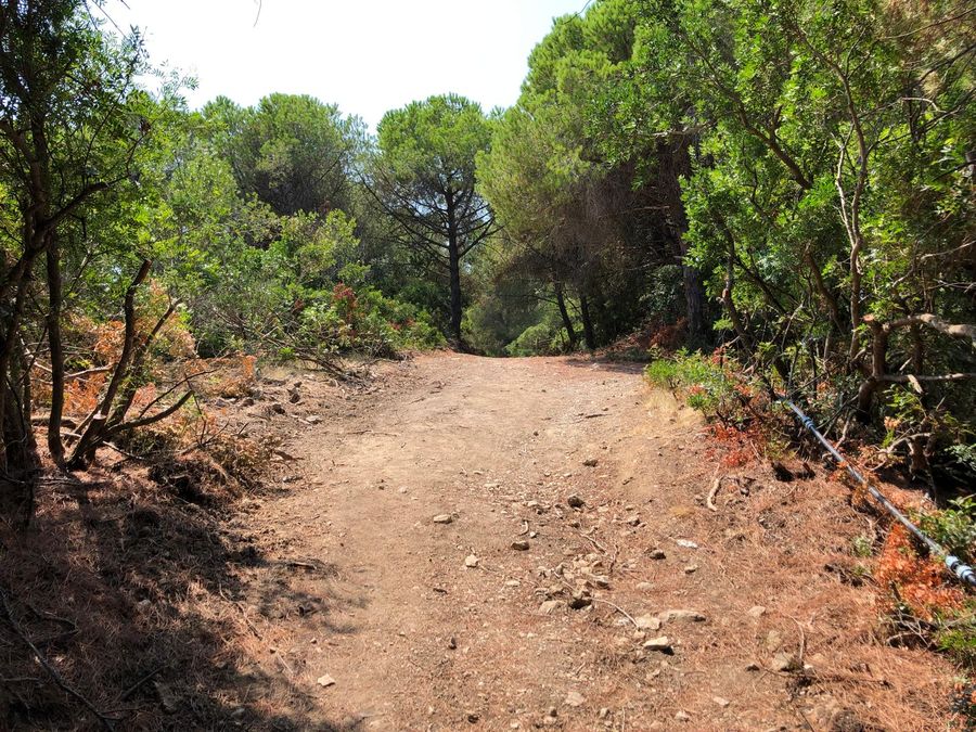 Strada Oleandri   Capo Poro 4