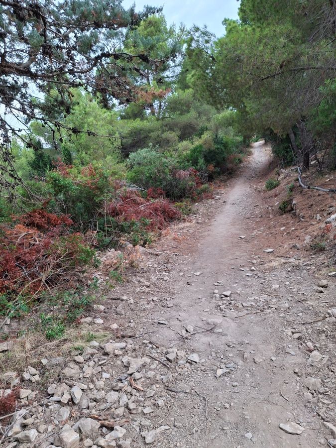 Strada Oleandri   Capo Poro 9