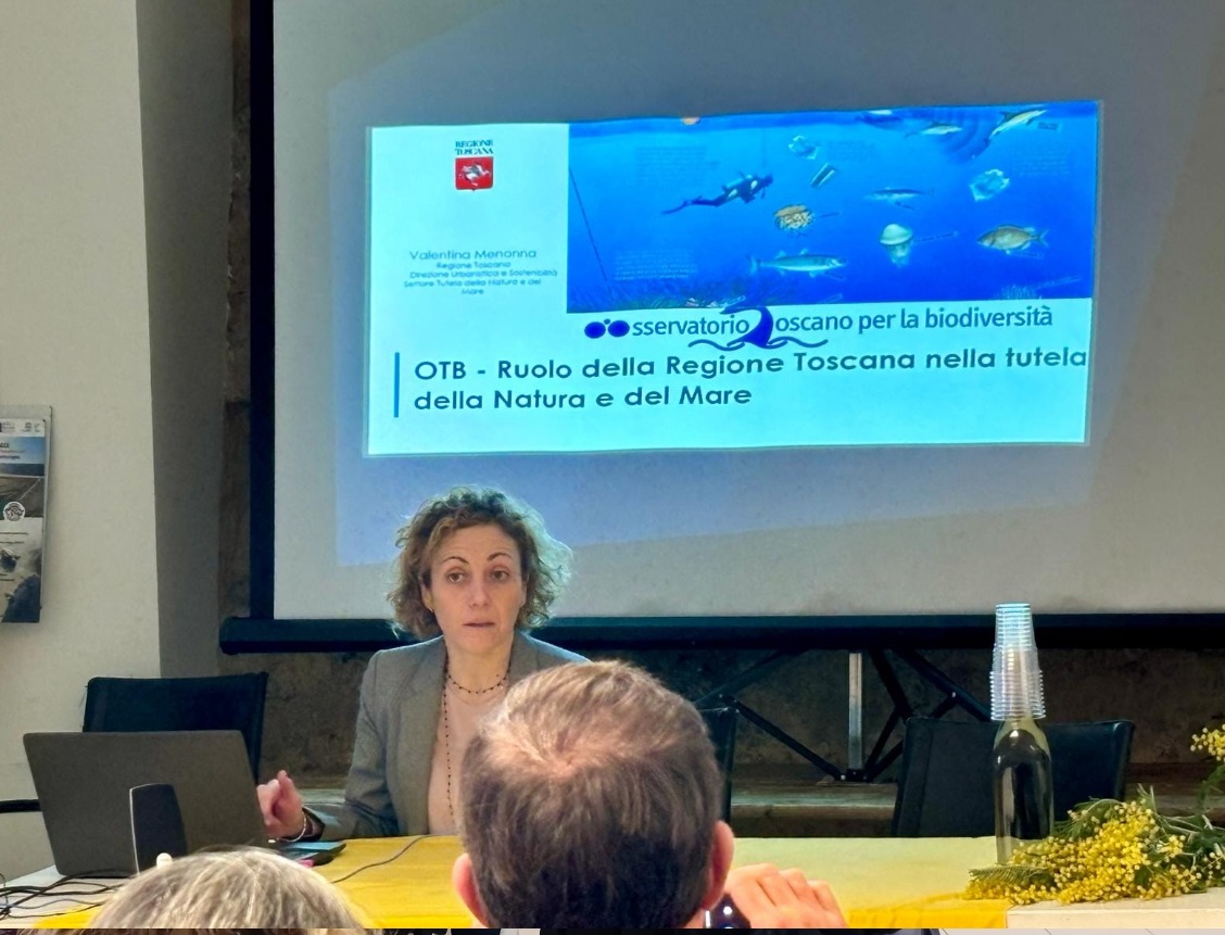 convegno tartarughe marine foto 3