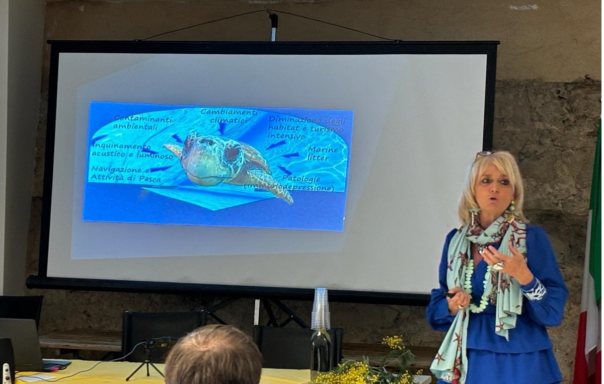 convegno tartarughe marine foto 5