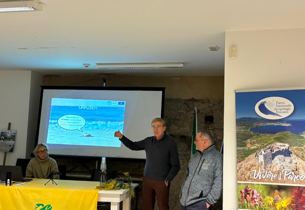 convegno tartarughe marine foto 6