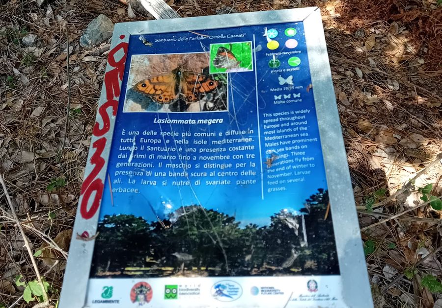 degrado monte perone 8