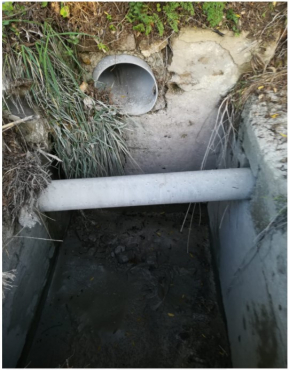 Biodola Scaglieri 03