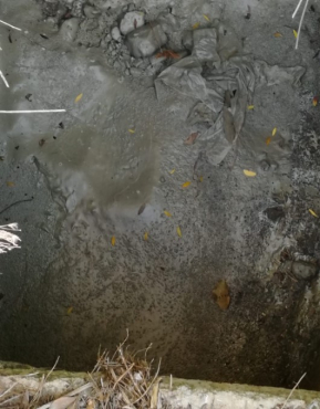 Biodola Scaglieri 04