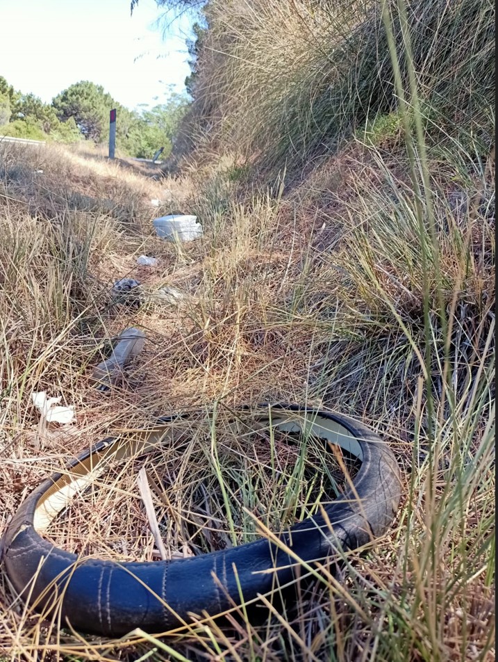 Rifiuti lungo le strade 1