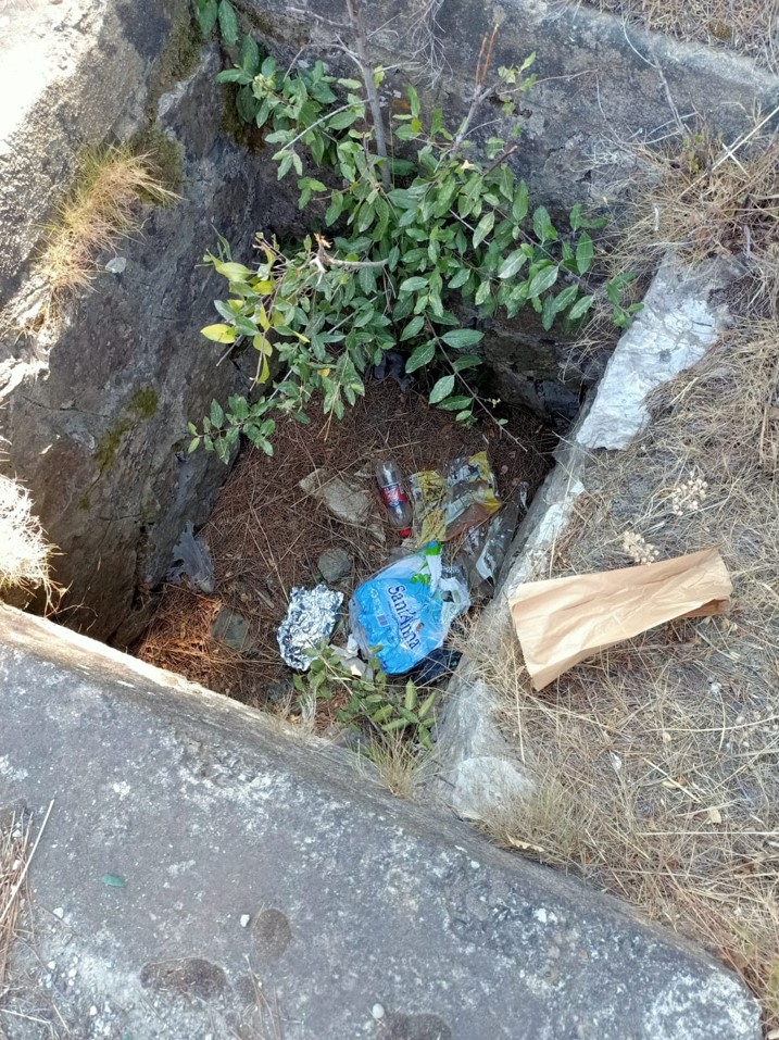 Rifiuti lungo le strade 11