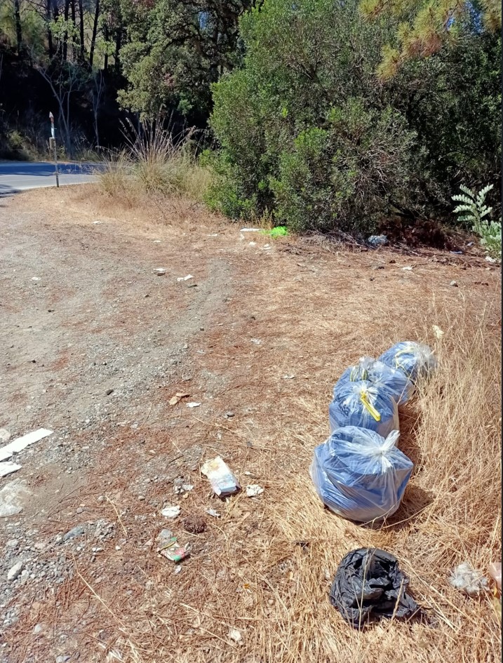 Rifiuti lungo le strade 6