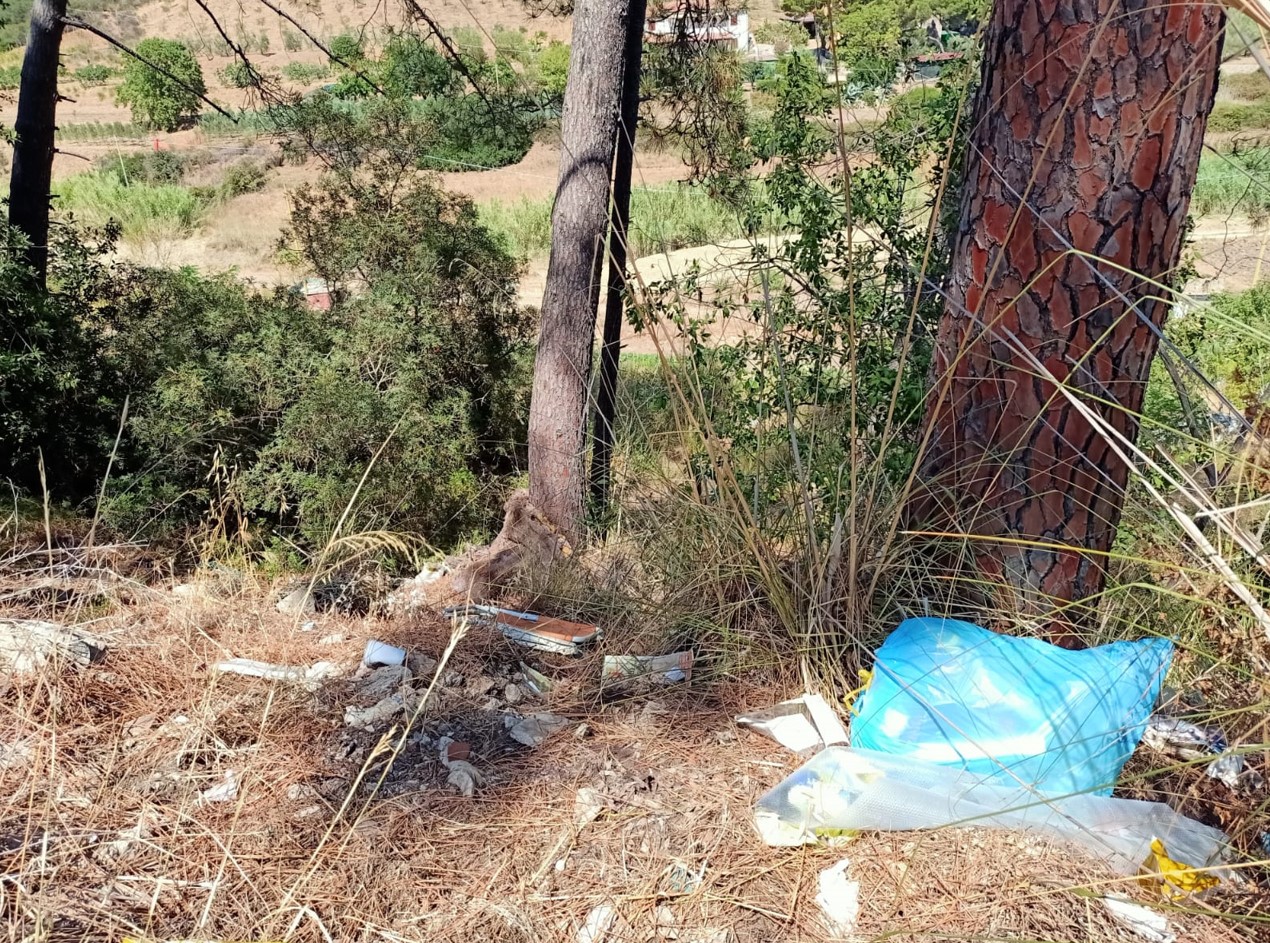 Rifiuti lungo le strade 7