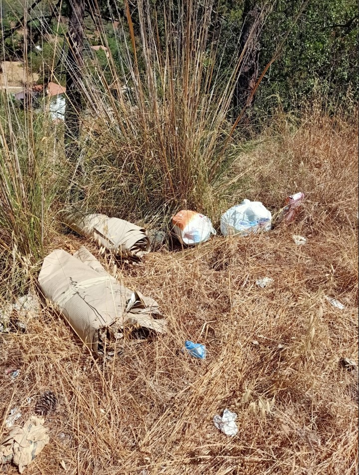 Rifiuti lungo le strade 8