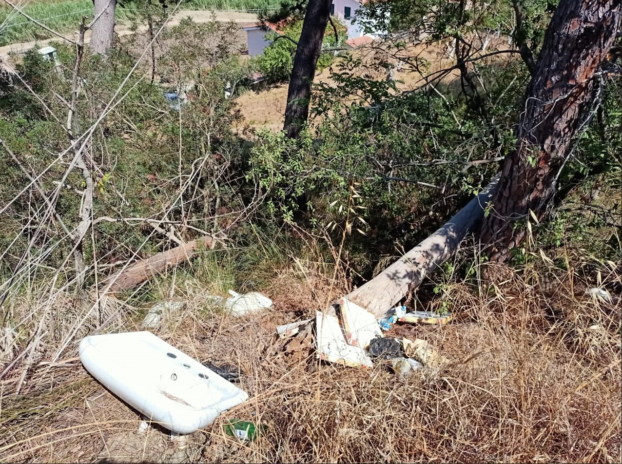 Rifiuti lungo le strade 9