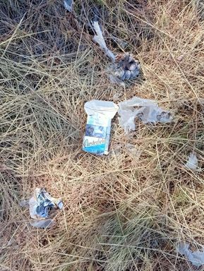 Rifiuti lungo le strade 10