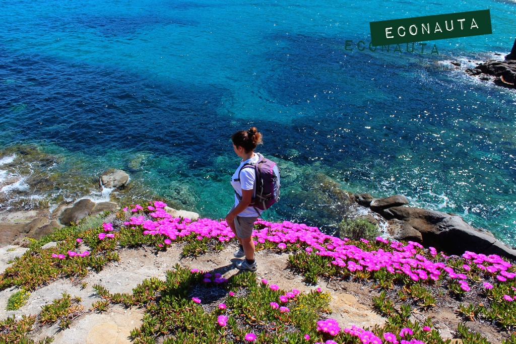 IL CAMMINO ELBANO (6)