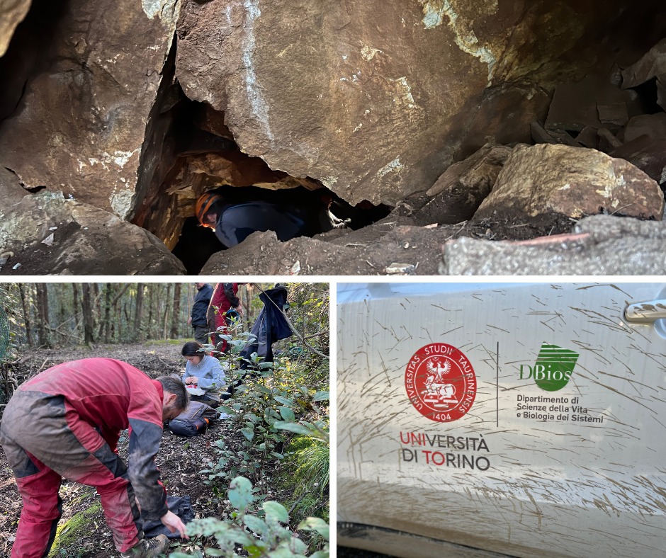 elba sotterranea (7)