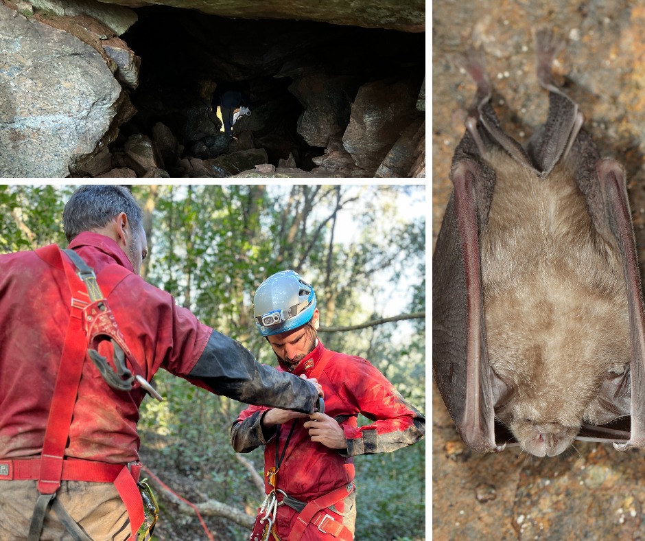 elba sotterranea (9)