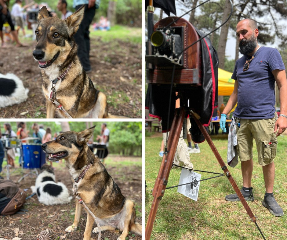 festa farfalle 2025 (3)