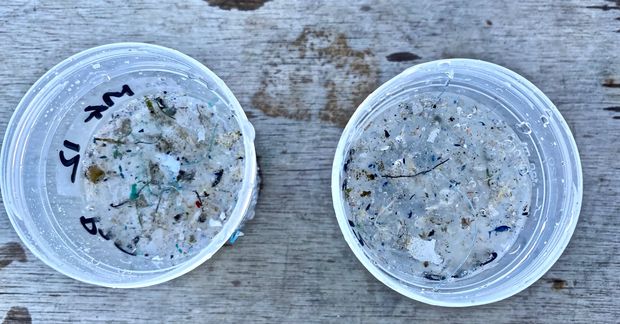 filtri plastica raccolta