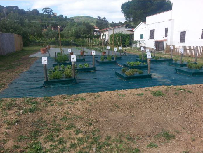 Girnate bellezza Camping Talinucci 1