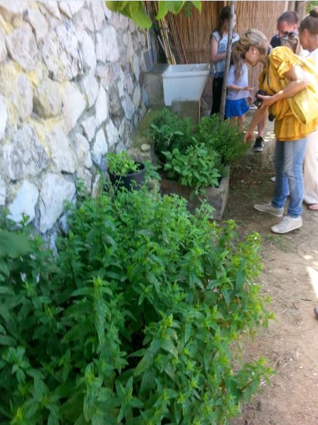 Girnate bellezza Hotel Sant'Andrea 1