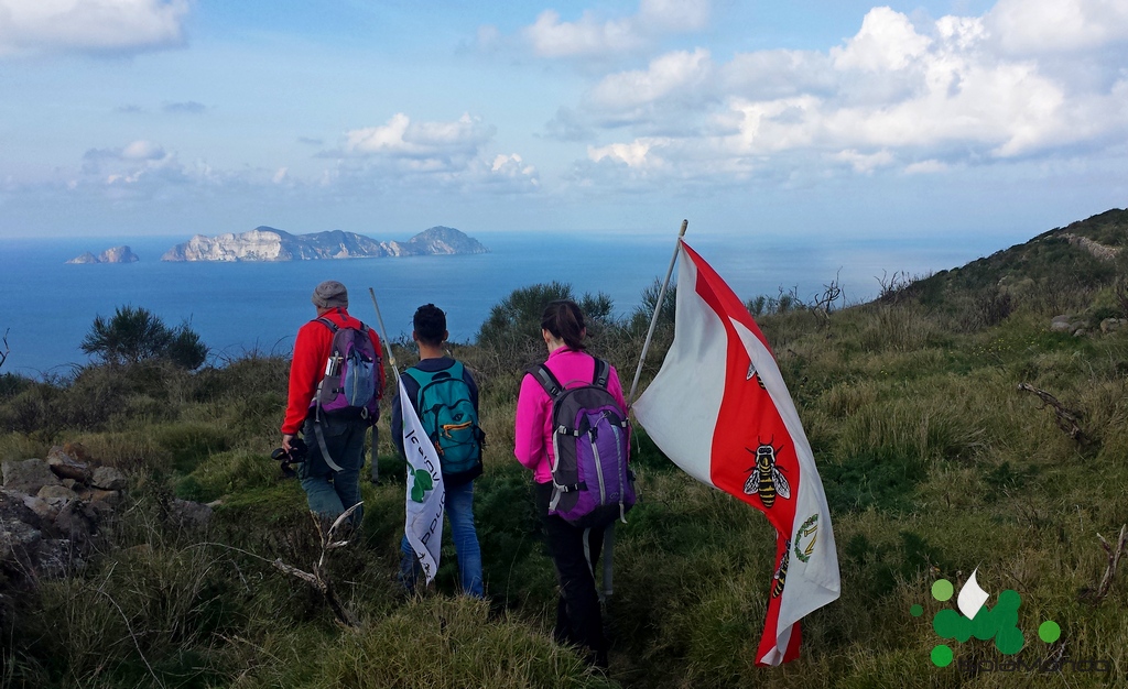 006 Ponza escursione sul Monte Guardia sullo sfondo Palmarola