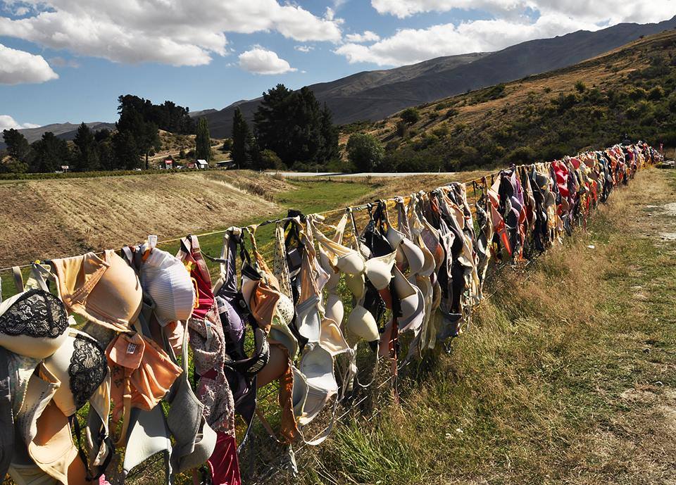 25181973 10212537921914630 655944139 n