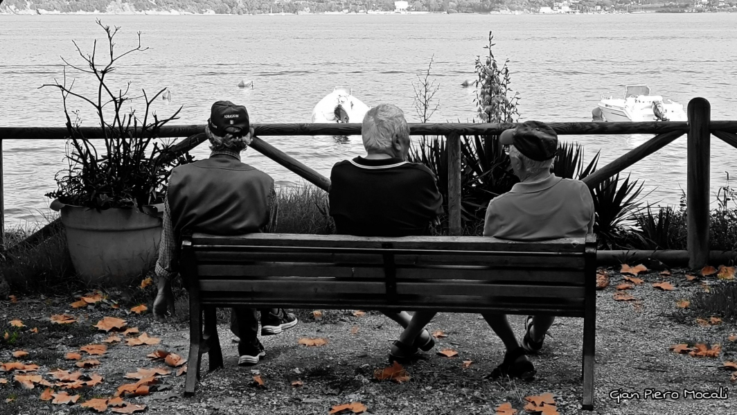 44119798 10217233601423254 7384105790455414784 o