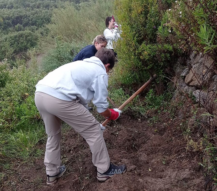 lavoro sul muretto