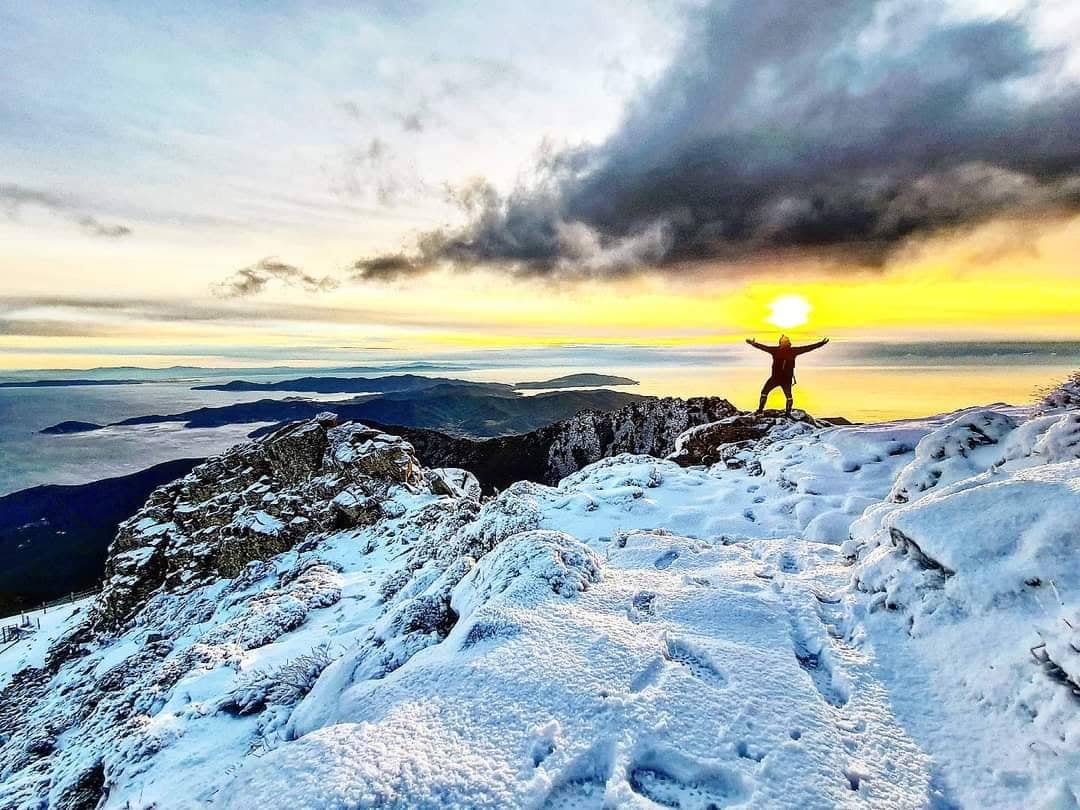 263672643 1284980765259404 5382720523580855452 n